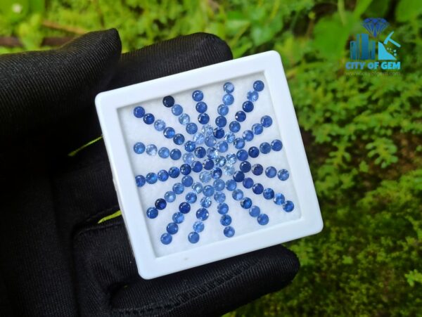 Blue Sapphire Calibrated Round Collection