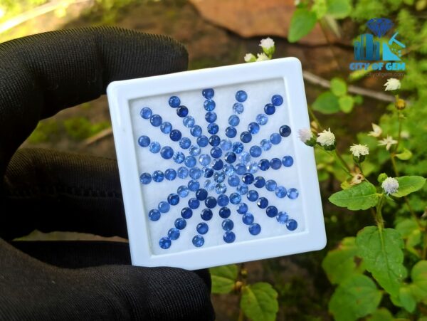 Blue Sapphire Calibrated Round Collection