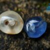 Ancient Natural Blue Sapphire & White Sapphire Mukkaru Beads From Sri Lanka – History Of Gem Industry