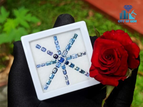 Ceylon Blue Sapphire Octagon Shape Faceted Stone Collection