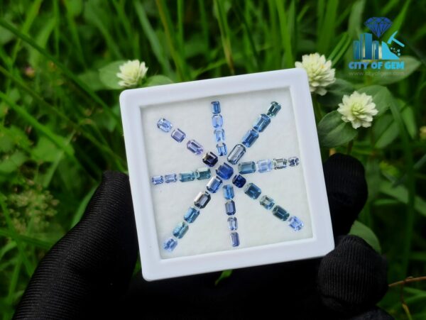 Ceylon Blue Sapphire Octagon Shape Faceted Stone Collection