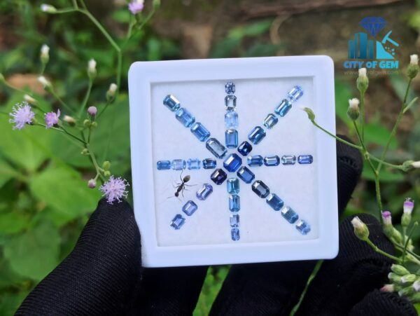 Ceylon Blue Sapphire Octagon Shape Faceted Stone Collection