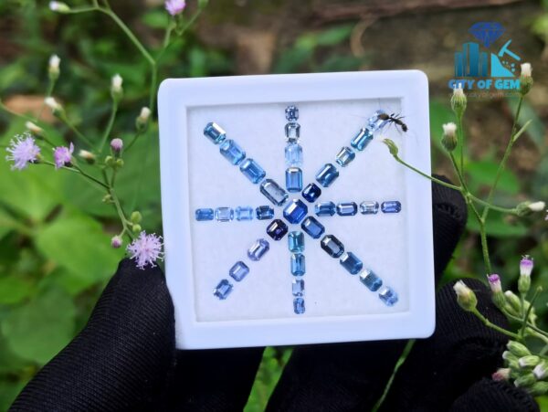 Ceylon Blue Sapphire Octagon Shape Faceted Stone Collection