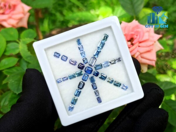 Ceylon Blue Sapphire Octagon Shape Faceted Stone Collection