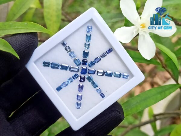 Ceylon Blue Sapphire Octagon Shape Faceted Stone Collection