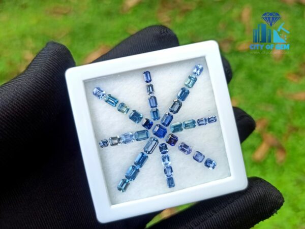 Ceylon Blue Sapphire Octagon Shape Faceted Stone Collection