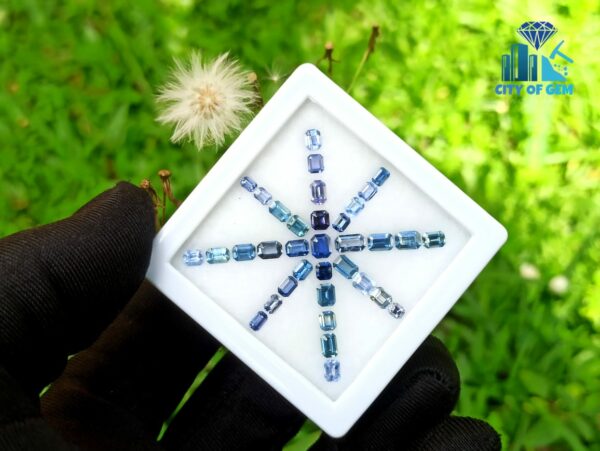 Ceylon Blue Sapphire Octagon Shape Faceted Stone Collection