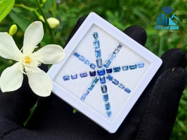 Ceylon Blue Sapphire Octagon Shape Faceted Stone Collection