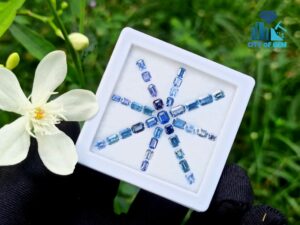 Ceylon Blue Sapphire Octagon Shape Faceted Stone Collection