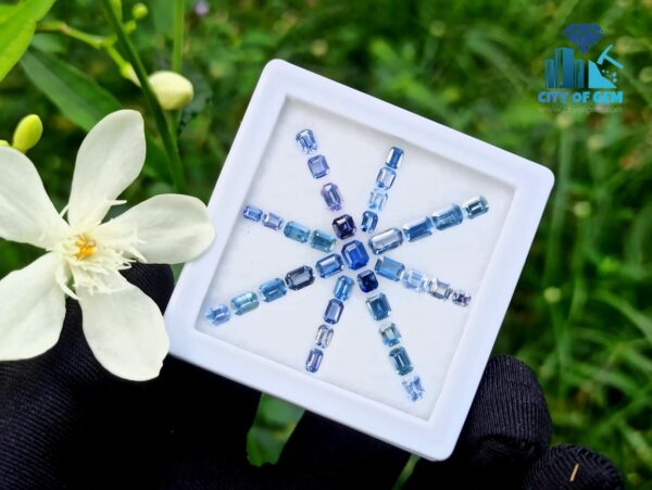 Ceylon Blue Sapphire Octagon Shape Faceted Stone Collection