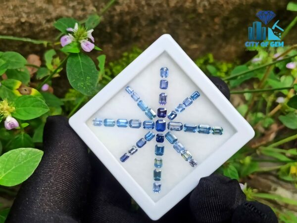 Ceylon Blue Sapphire Octagon Shape Faceted Stone Collection