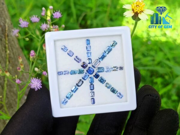 Ceylon Blue Sapphire Octagon Shape Faceted Stone Collection