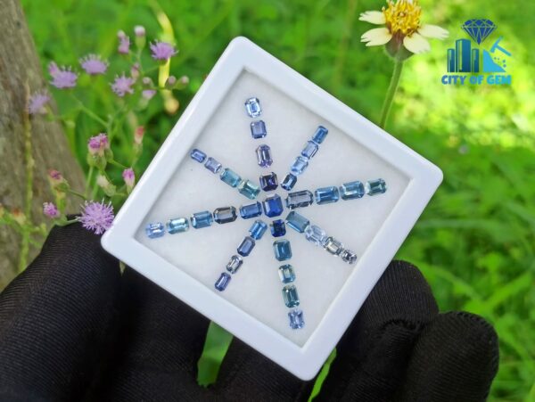 Ceylon Blue Sapphire Octagon Shape Faceted Stone Collection