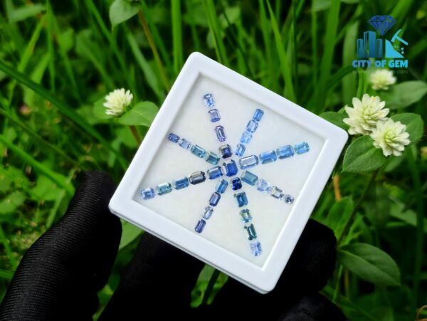 Ceylon Blue Sapphire Octagon Shape Faceted Stone Collection