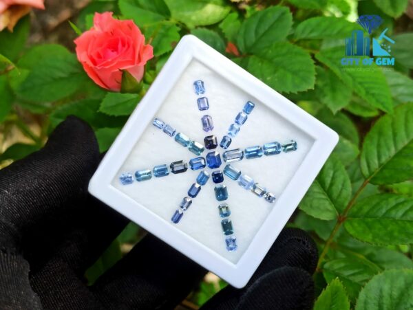 Ceylon Blue Sapphire Octagon Shape Faceted Stone Collection