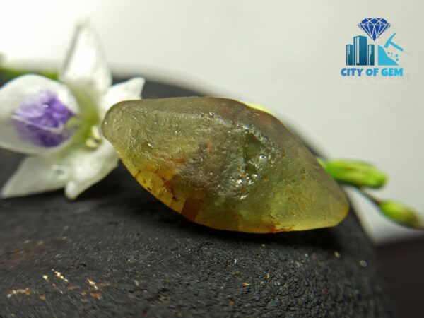 Rare Natural Green Sapphire Doubly Terminated Crystal From Ceylon