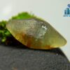 Rare Natural Green Sapphire Doubly Terminated Crystal From Ceylon