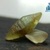Rare Natural Green Sapphire Doubly Terminated Crystal From Ceylon