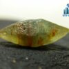 Rare Natural Green Sapphire Doubly Terminated Crystal From Ceylon
