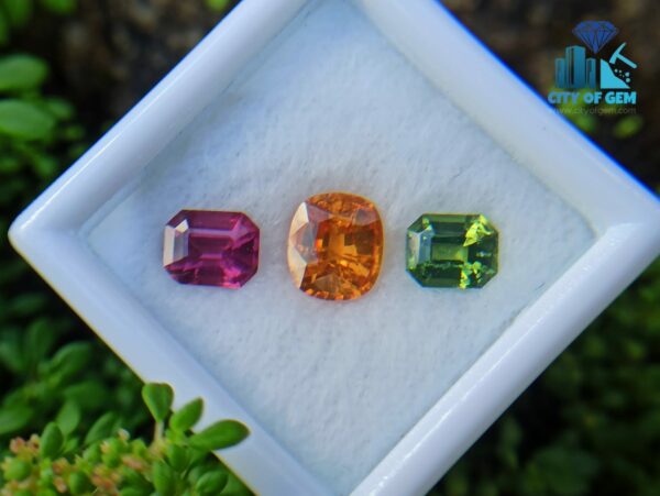 Spessartite Garnet, Zircon & Rhodolite Garnet - city of gem ratnapura (1)