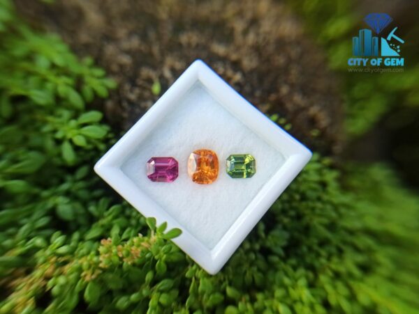 Spessartite Garnet, Zircon & Rhodolite Garnet - city of gem ratnapura (1)