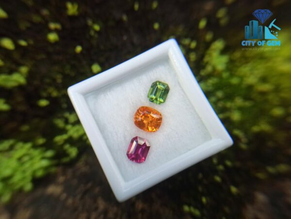 Spessartite Garnet, Zircon & Rhodolite Garnet - city of gem ratnapura (1)