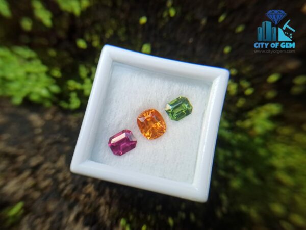 Spessartite Garnet, Zircon & Rhodolite Garnet - city of gem ratnapura (1)