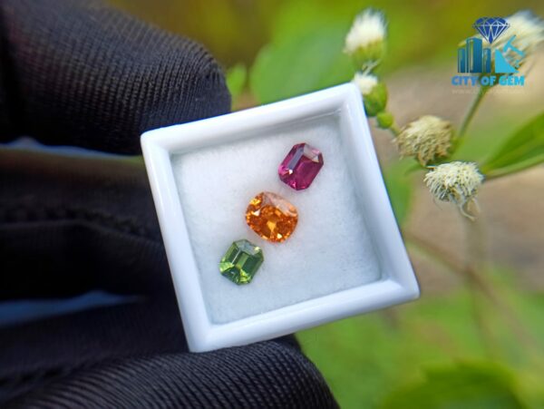 Spessartite Garnet, Zircon & Rhodolite Garnet - city of gem ratnapura (1)