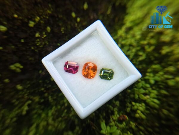 Spessartite Garnet, Zircon & Rhodolite Garnet - city of gem ratnapura (1)