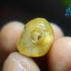 Ancient Natural Sapphire Large Mukkaru Bead From A Place Where Mukkaru Poeple Lived In Sri Lanka