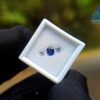 Ceylon Blue Sapphire & White Sapphires Gemstones For Jewelry Design