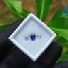 Ceylon Blue Sapphire & White Sapphires Gemstones For Jewelry Design