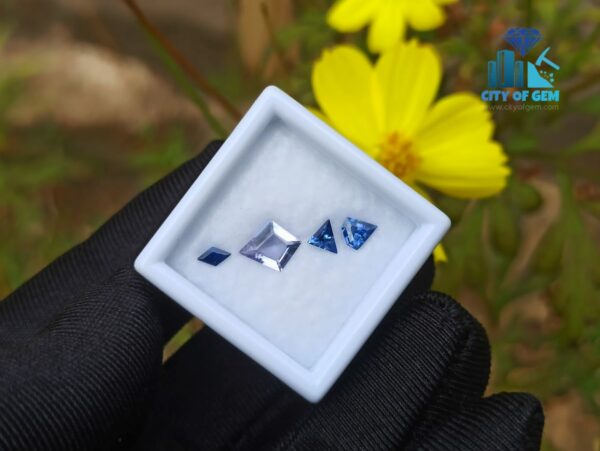 Ceylon Violet sapphire & Blue Sapphires Gemstones