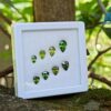 Natural Green Zircon Trilliant & Pear Shape Collection For Jewelry Design