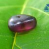 Ancient Natural Spinel Mukkaru Bead