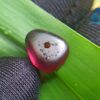 Ancient Natural Spinel Mukkaru Bead