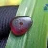 Ancient Natural Spinel Mukkaru Bead