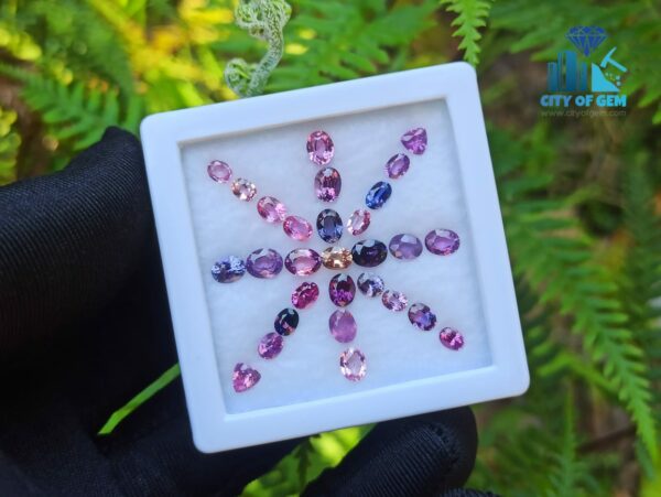 Ceylon Natural Sapphire Faceted Stones collection