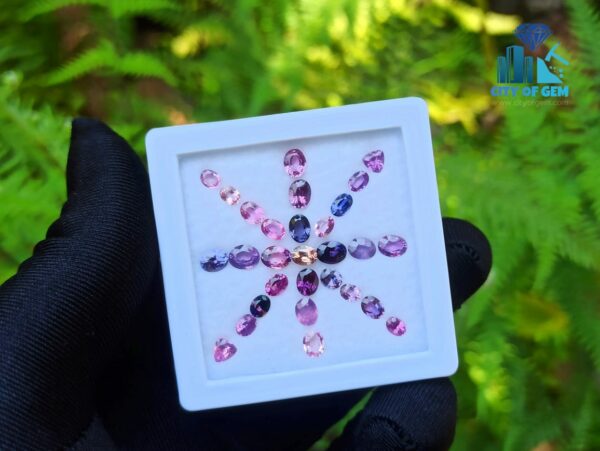 Ceylon Natural Sapphire Faceted Stones collection