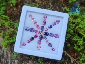 Ceylon Natural Sapphire Faceted Stones collection