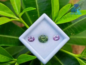 Ceylon Natural Green Zircon & Pink Sapphires Gemstones For Jewelry Design