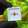 Natural Orange Zircon & Blue Sapphire Round Gemstones For Jewelry Design