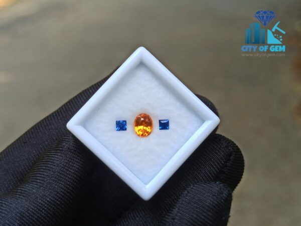 Natural Spessartite Garnet & Ceylon Blue Sapphire Gemstones For Jewelry Design