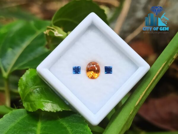 Natural Spessartite Garnet & Ceylon Blue Sapphire Gemstones For Jewelry Design