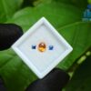 Natural Spessartite Garnet & Ceylon Blue Sapphire Gemstones For Jewelry Design