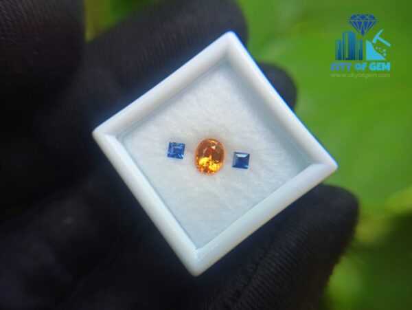 Natural Spessartite Garnet & Ceylon Blue Sapphire Gemstones For Jewelry Design