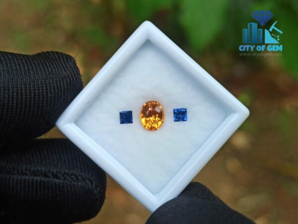 Natural Spessartite Garnet & Ceylon Blue Sapphire Gemstones For Jewelry Design