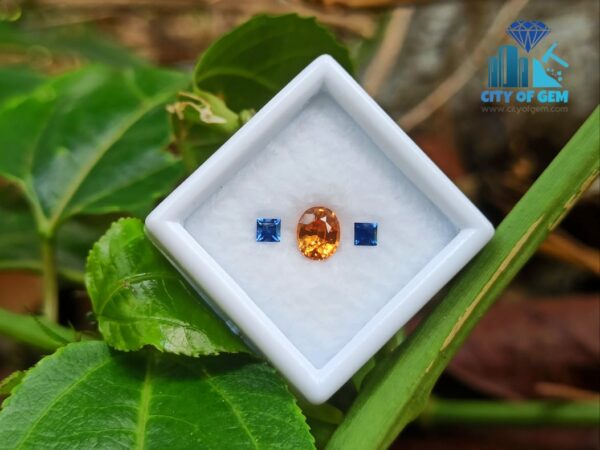 Natural Spessartite Garnet & Ceylon Blue Sapphire Gemstones For Jewelry Design
