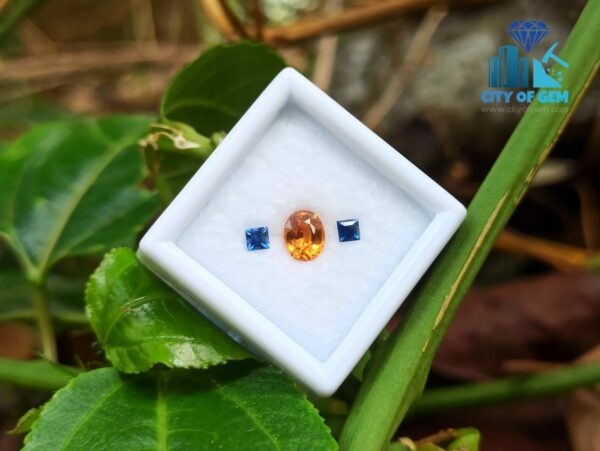 Natural Spessartite Garnet & Ceylon Blue Sapphire Gemstones For Jewelry Design
