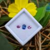 Natural Blue Sapphire & Pink Sapphire Pair Gemstones for Jewelry Design